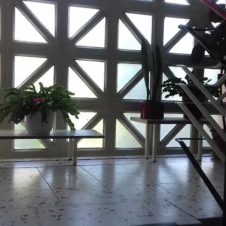 Bexor D19 הנובר